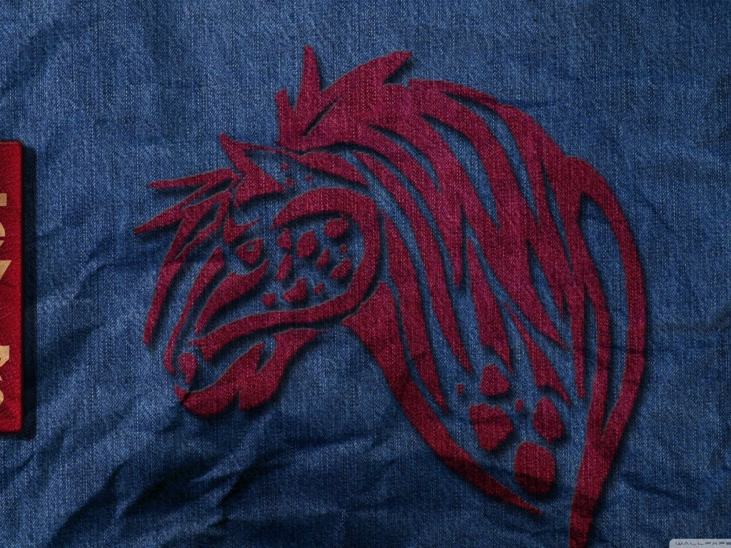 Известный бренд Levi`s