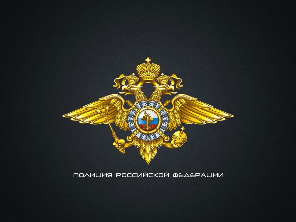 Полиция России