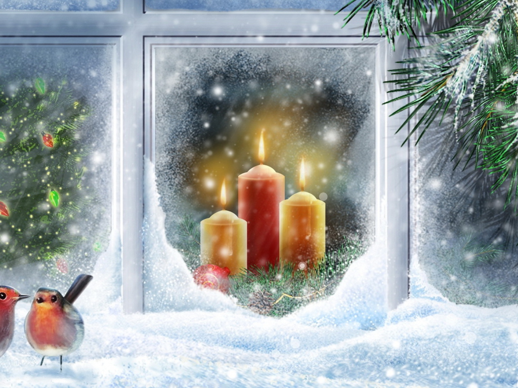 Птицы на окне в Рождество