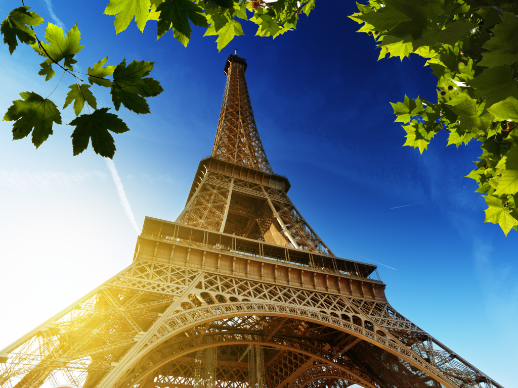 Эйфелева башня и листья дерева