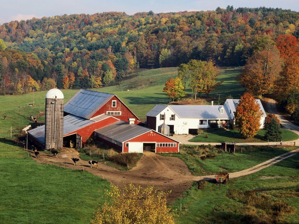 Усадьба фермера