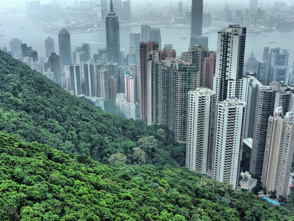 Китайский горд Хонг Конг