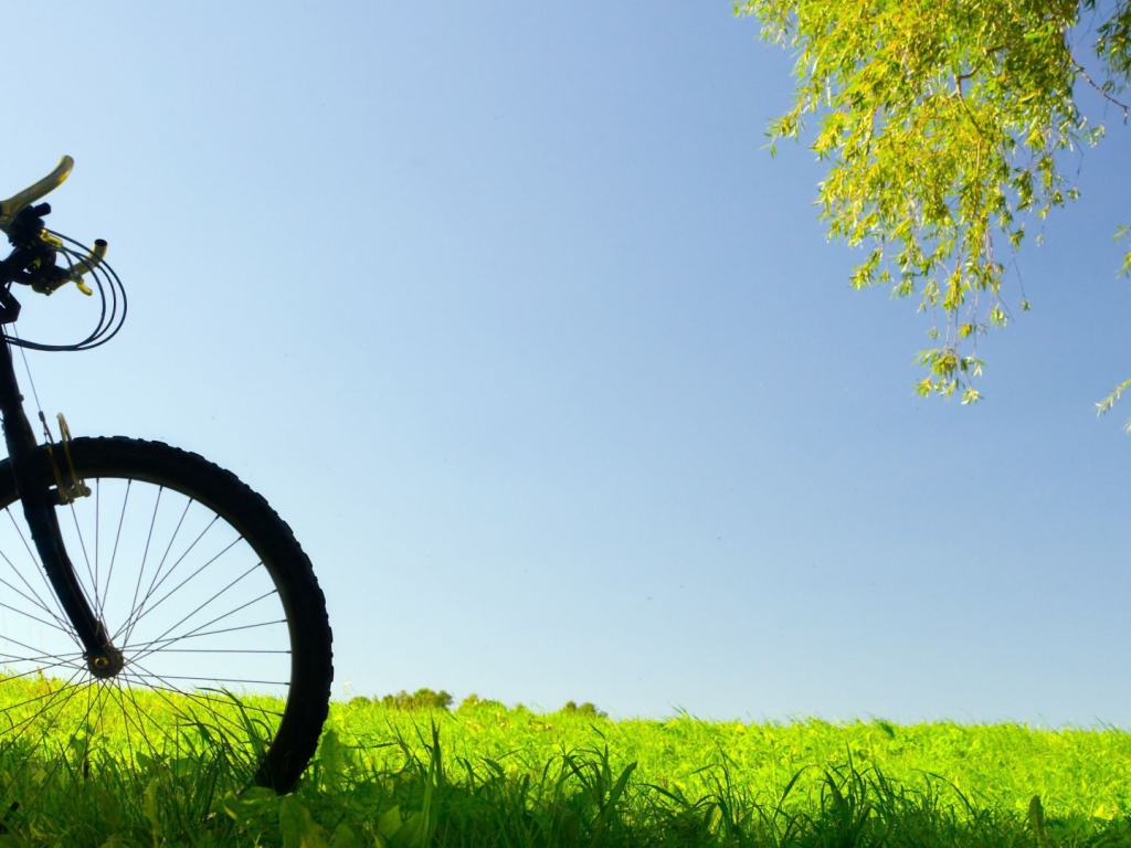 Велосипед в поле