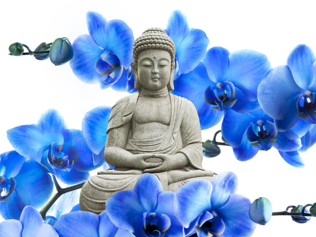 Будда на фоне цветов