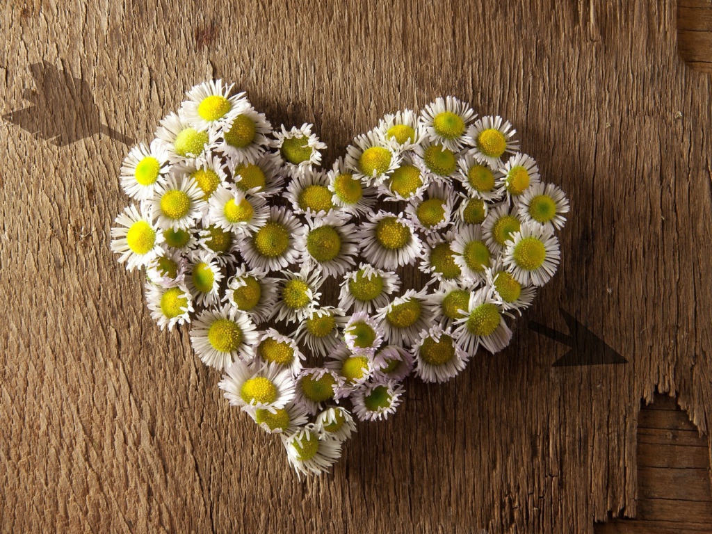 Сердечко из ромашек