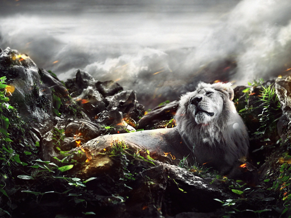 Лев в джунглях