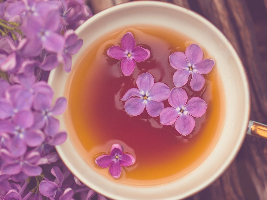 Сирень в чашке