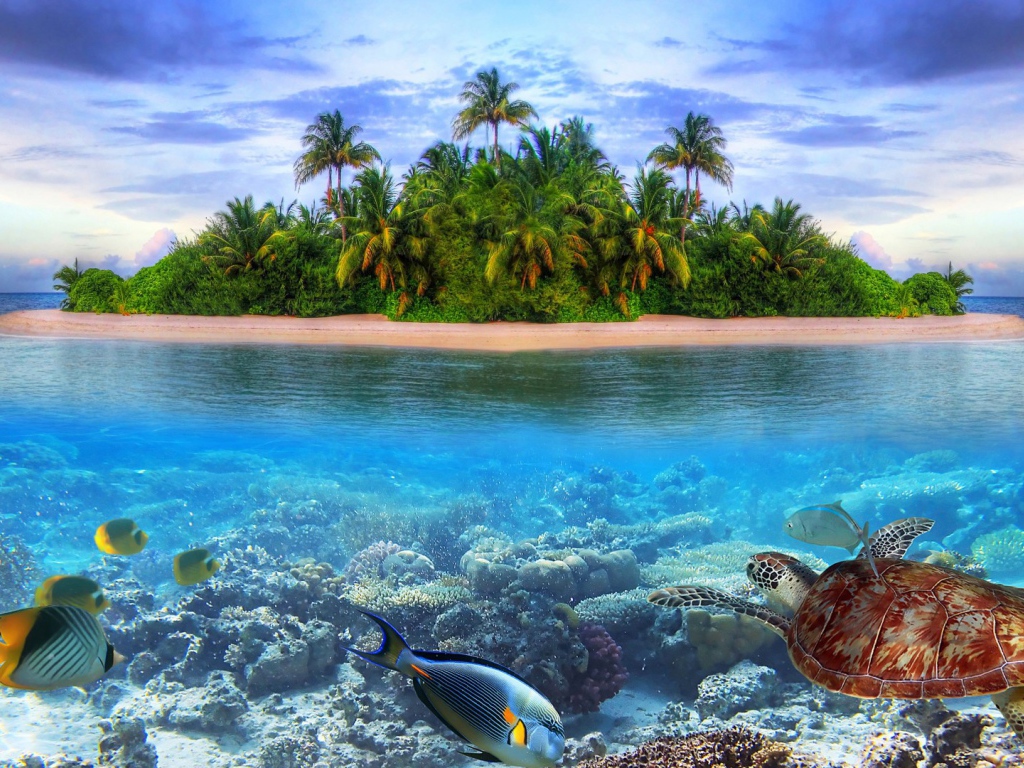 Подводный мир на острове