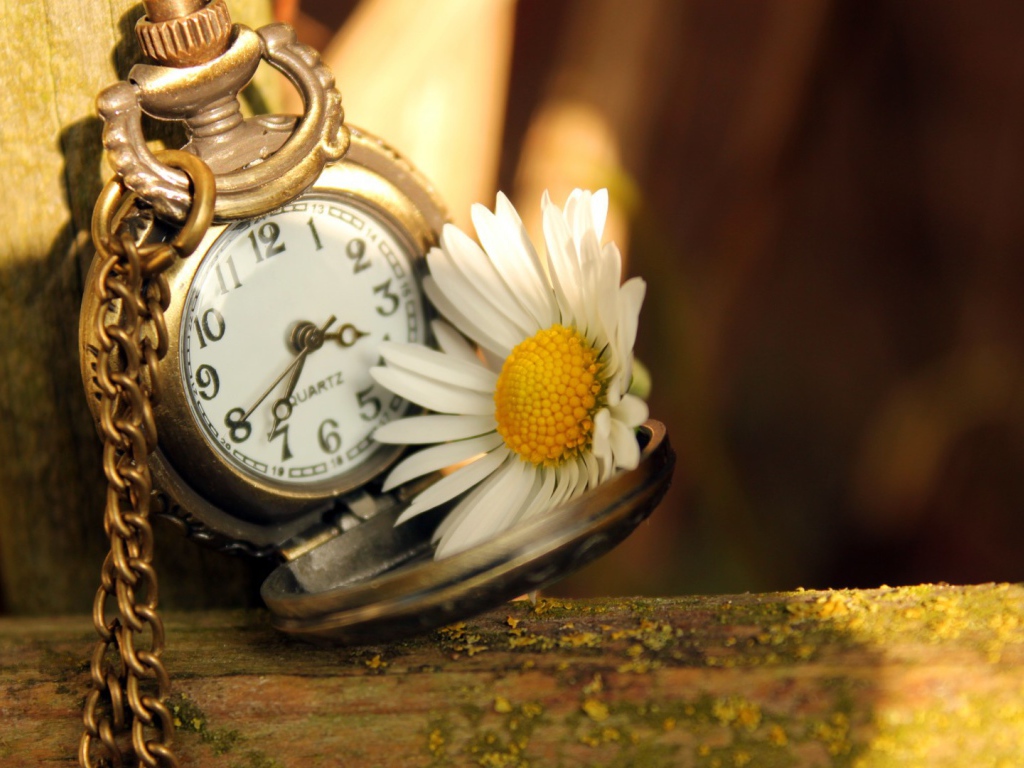 Часы и ромашка