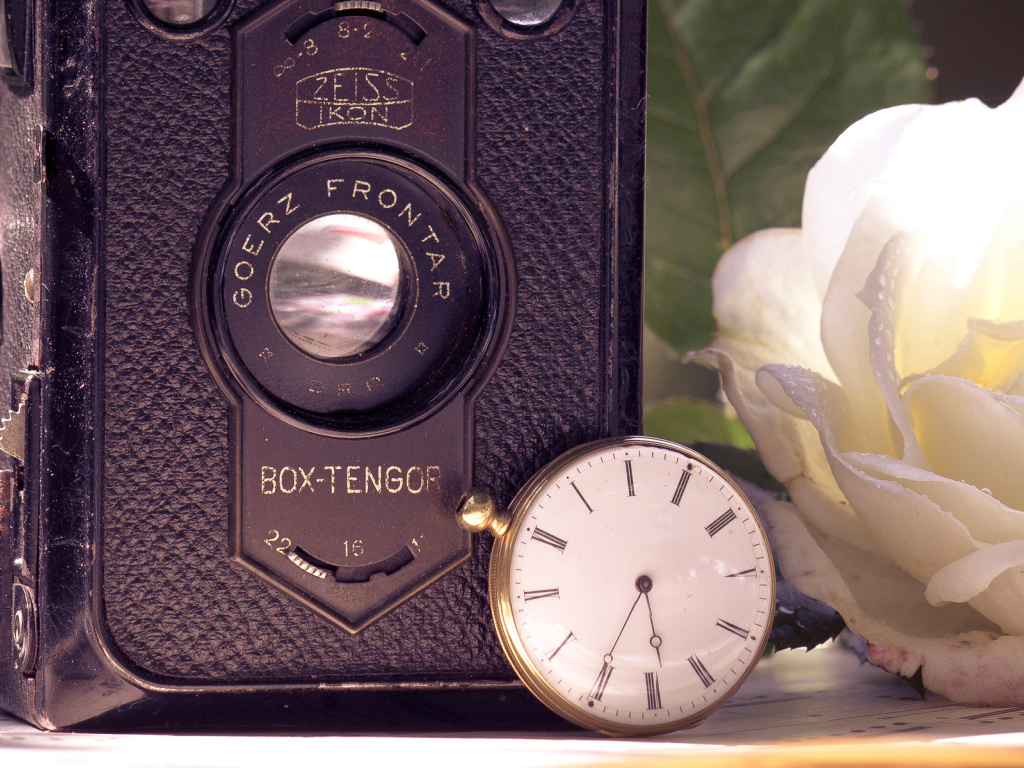 Ретро фотоаппарат и роза