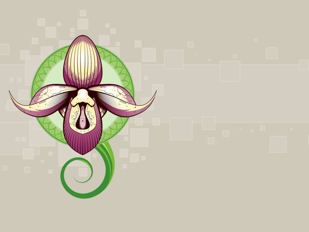 Рисунок орхидеи
