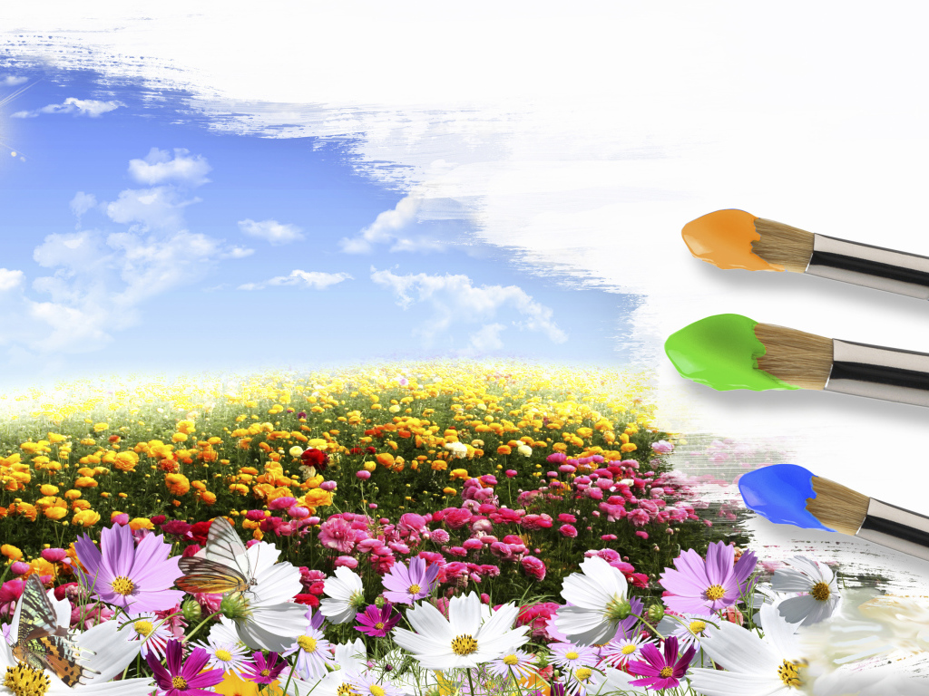 Поле цветов и кисти