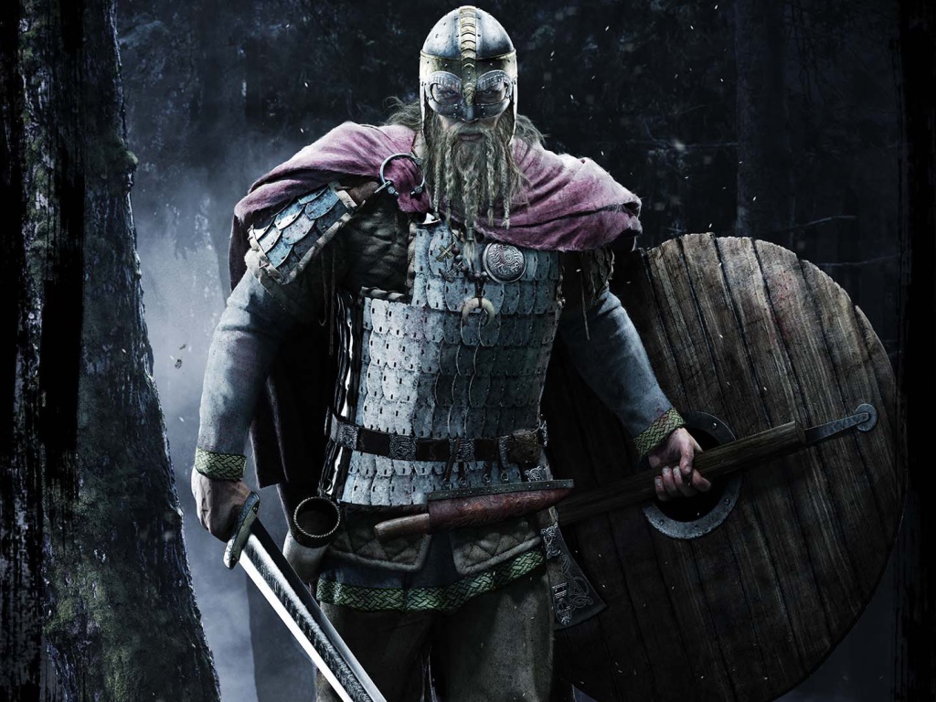 Викинг идет на войну