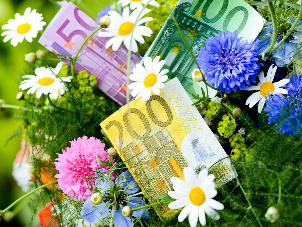 Евро в цветах