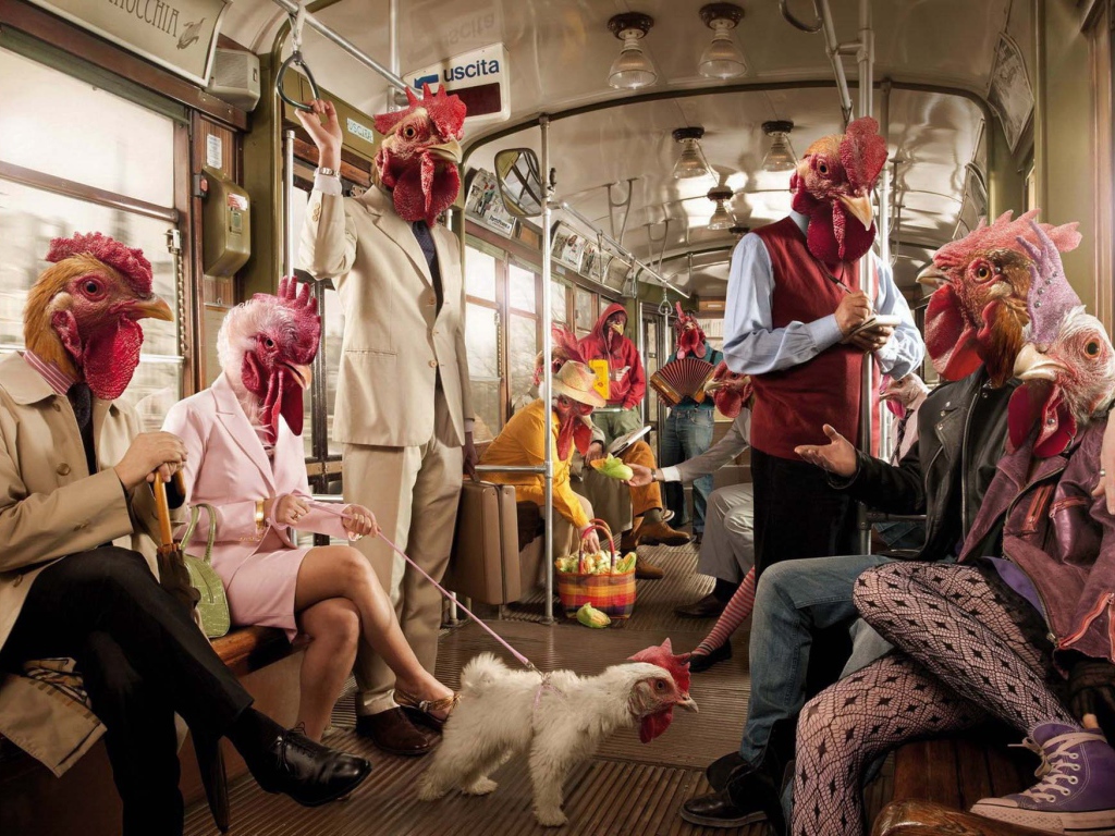 Поездка в курятнике