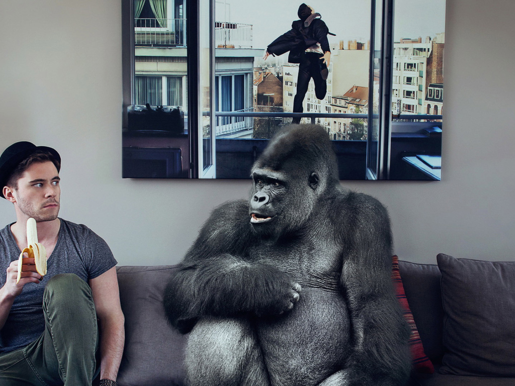 Обезьяна хочет банан