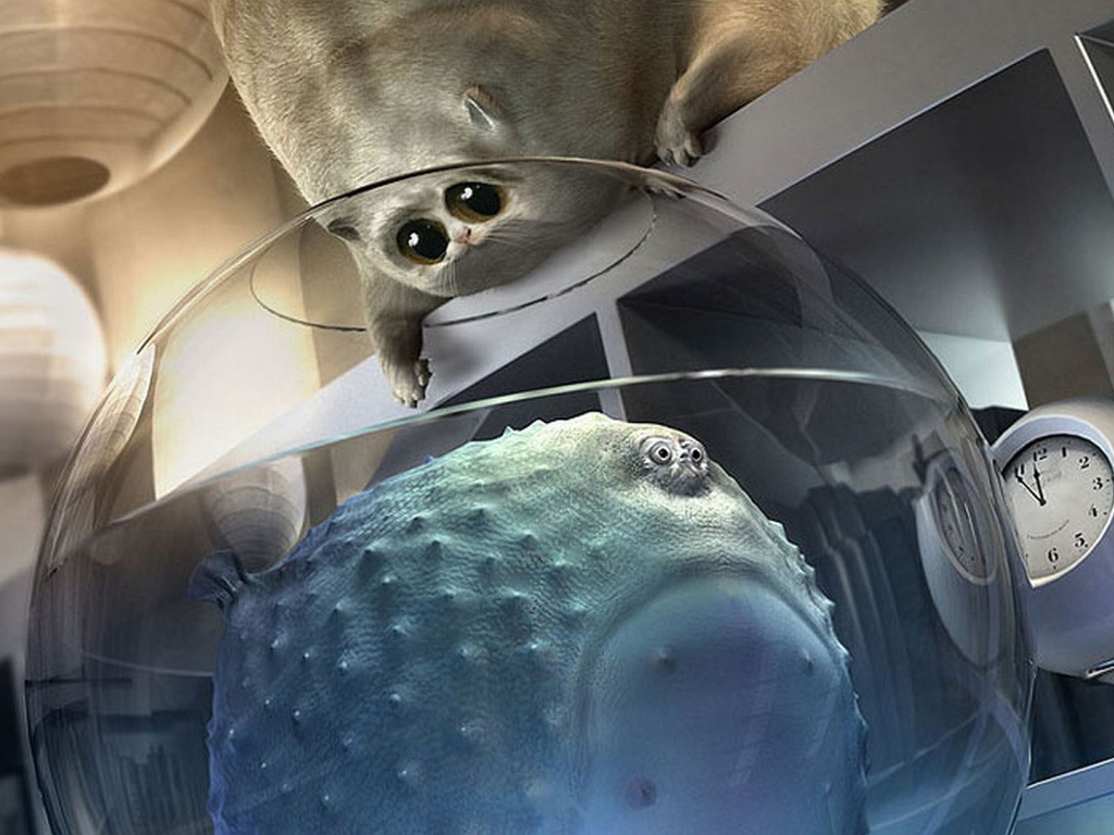 Толстый кот и толстая рыба