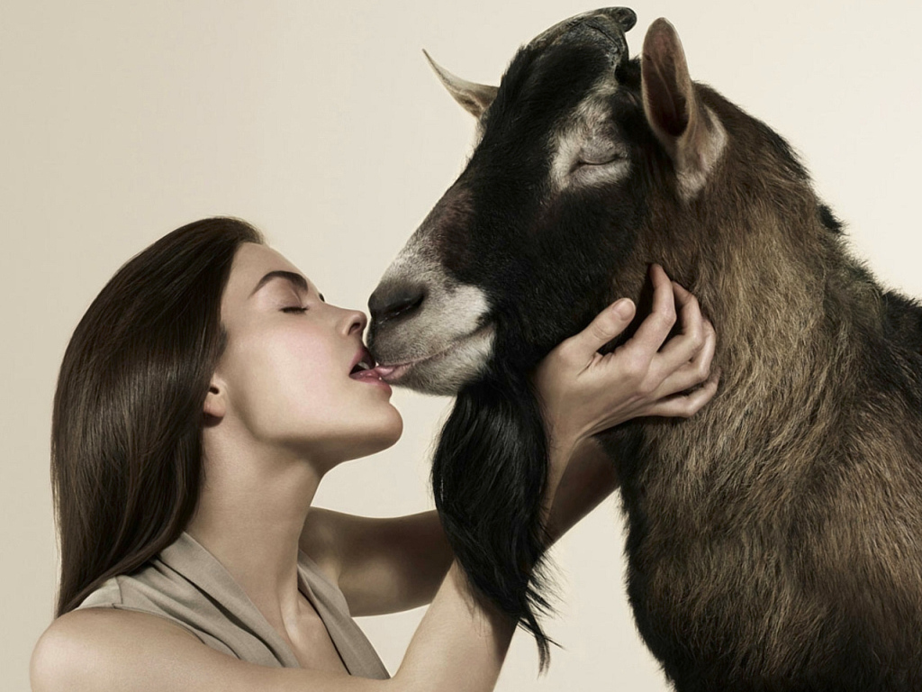 Любовь зла, полюбишь и козла