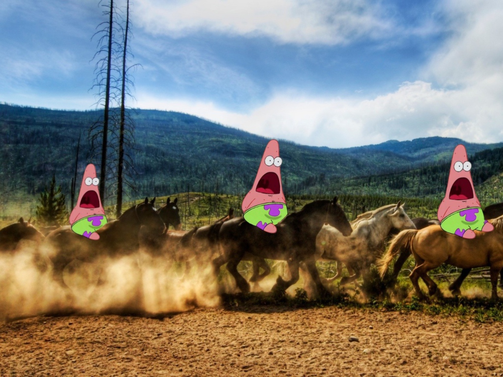 Патрик на лошадях