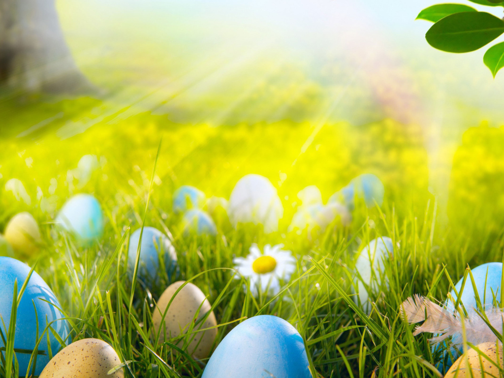 Яйца на лугу на Пасху