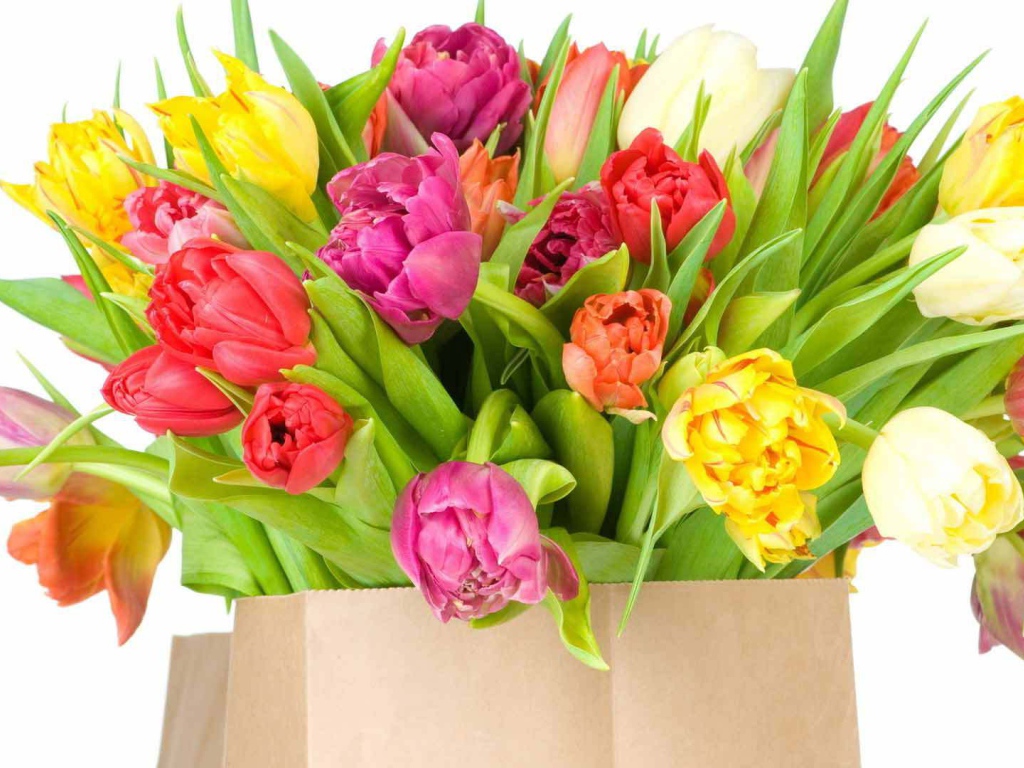 Красивый букет тюльпанов на восьмое марта