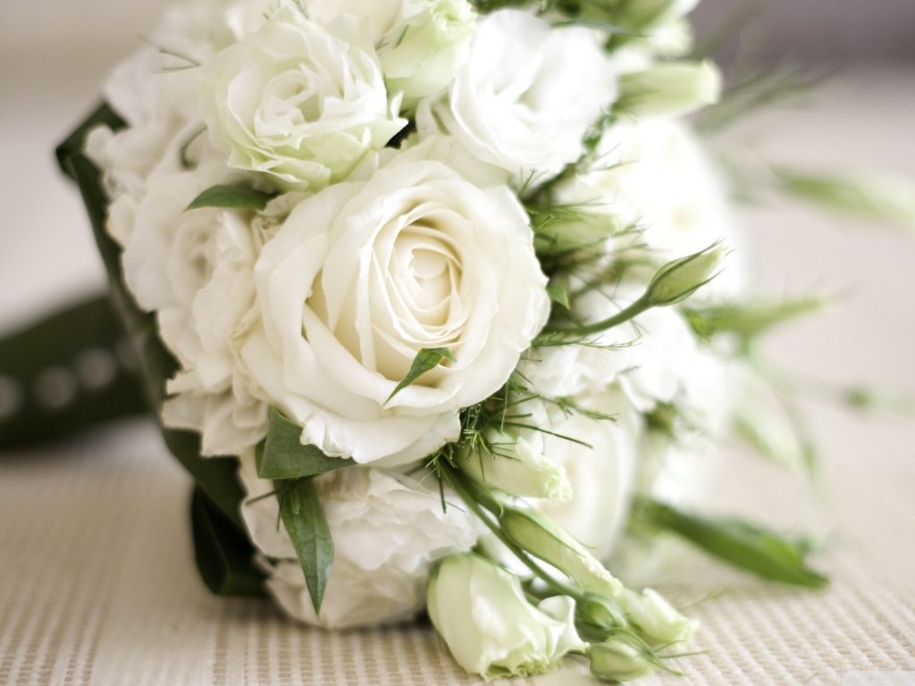 Красивые белые розы в подарок женщинам на восьмое марта
