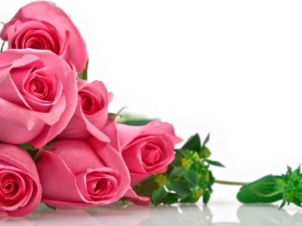 Розовые розы на 8 марта