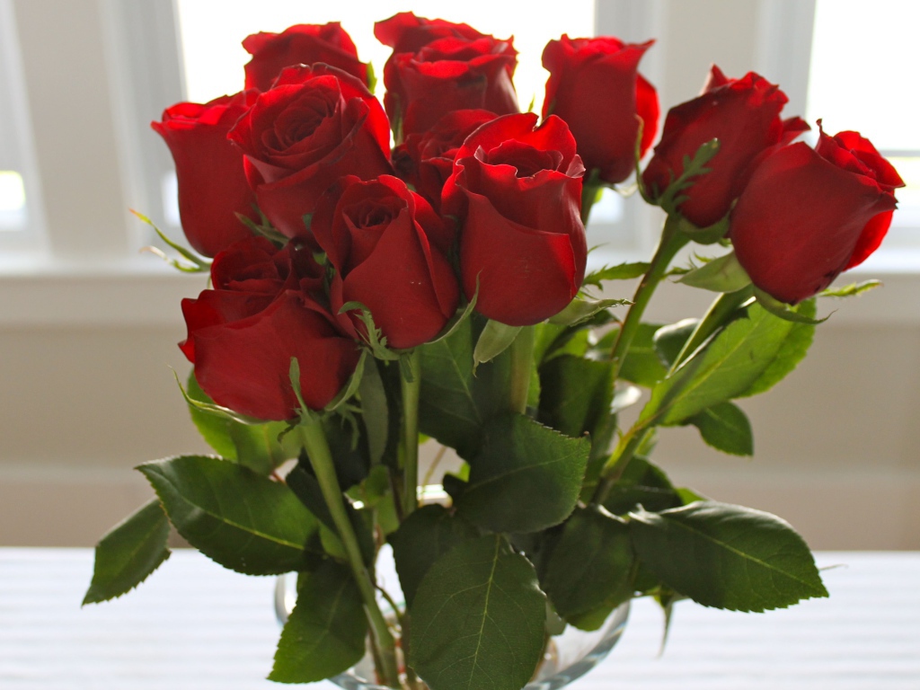 Красные розы на 8 марта