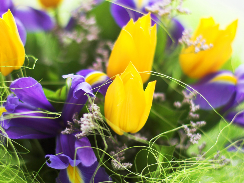 Весенние цветы на 8 марта