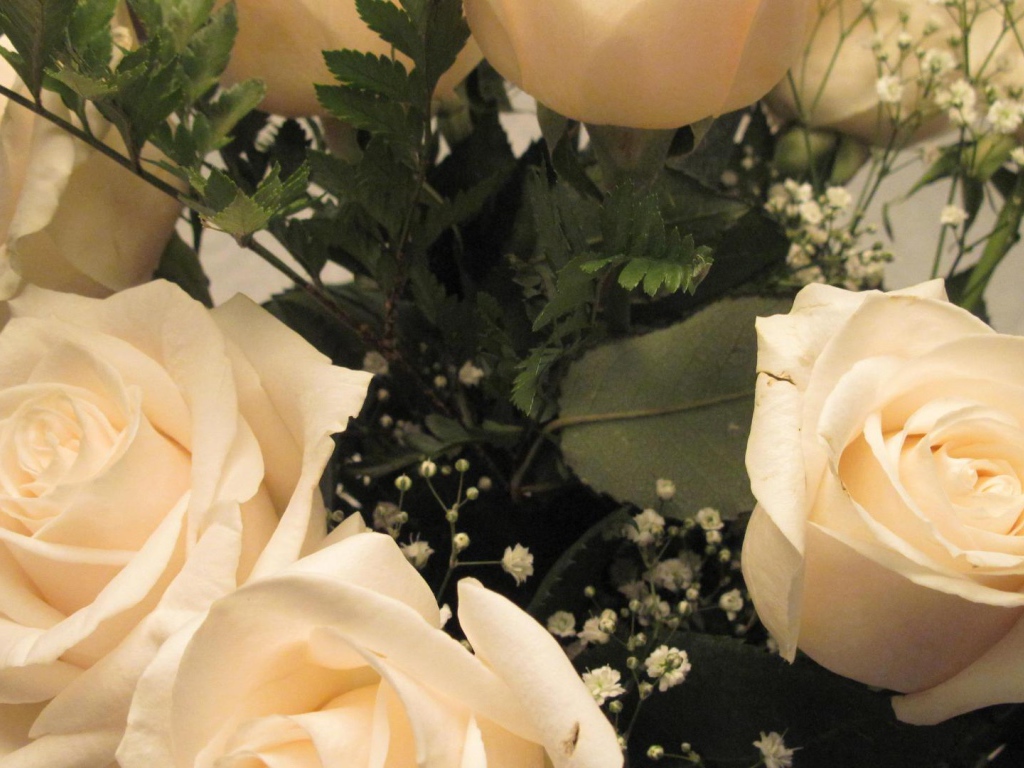 Белые розы в букете женщинам на восьмое марта