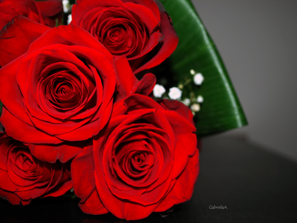 Красные розы на 8 марта с зелеными листьями