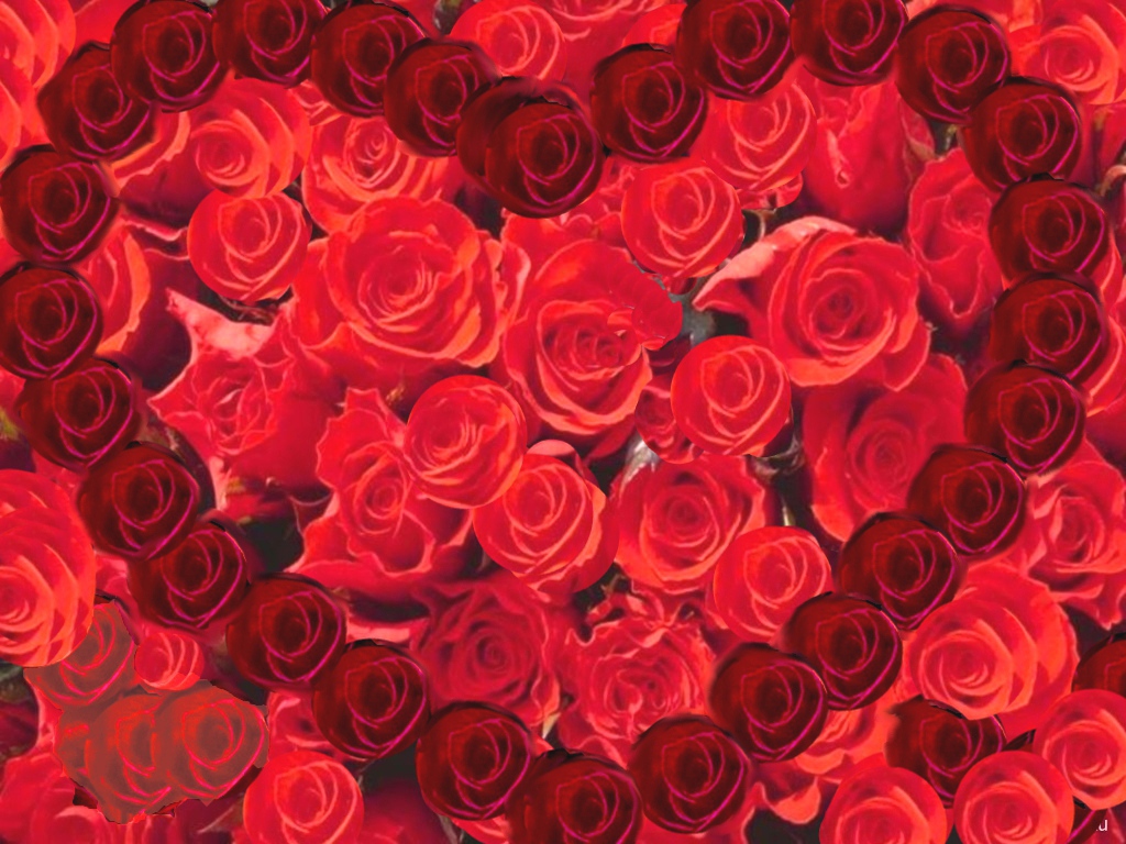 Сердце из роз на День Святого Валентина