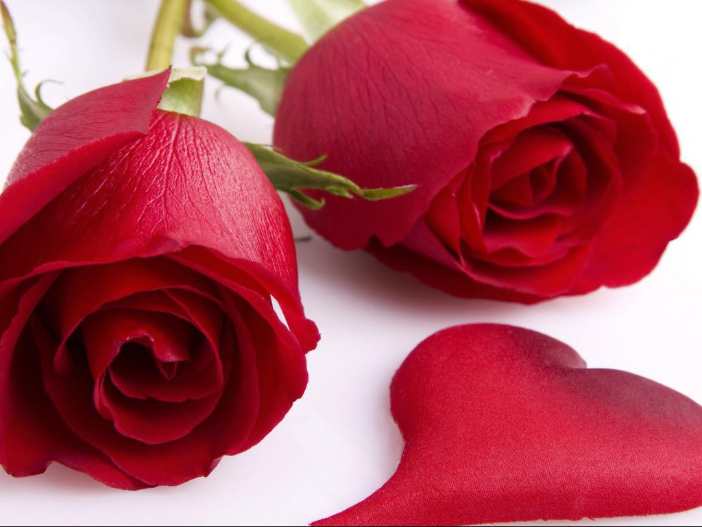 Розы и сердце в День Святого Валентина