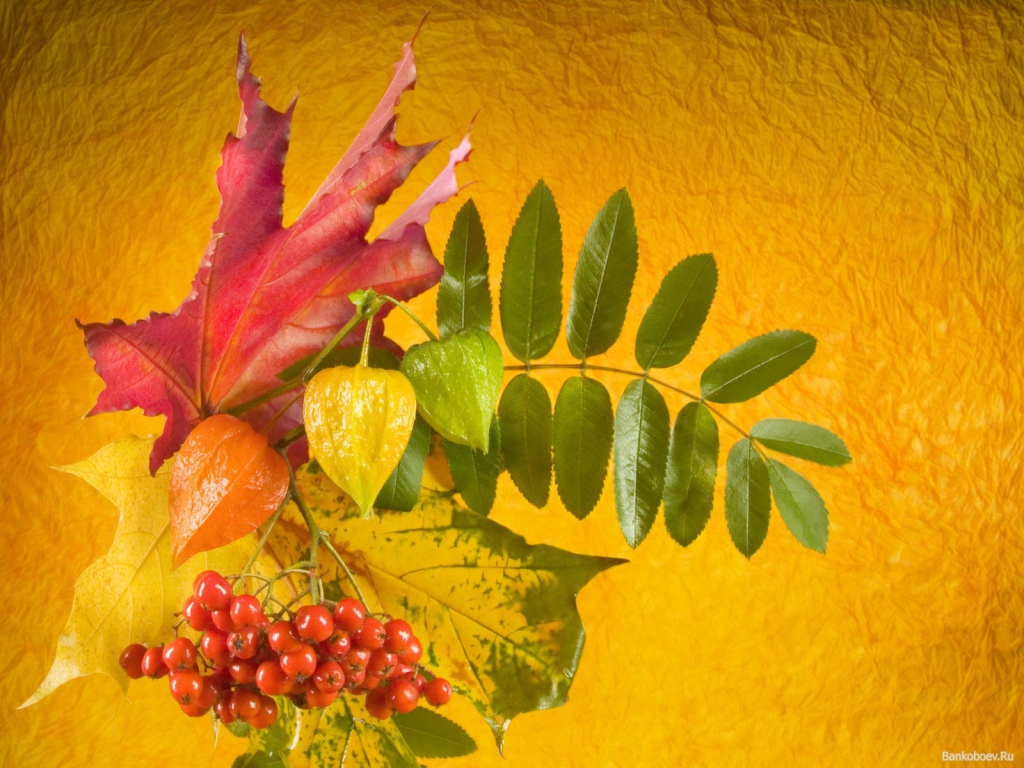 Осенний букет в День знаний 1 сентября