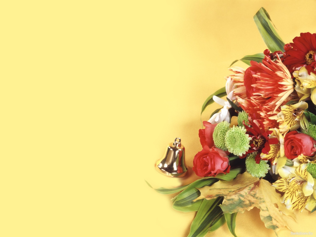 Красивые обои в День знаний 1 сентября