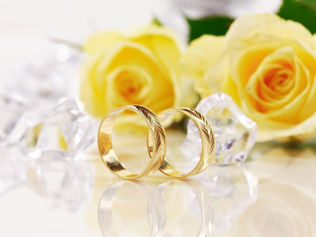 Жёлтые розы и золотые свадебные кольца