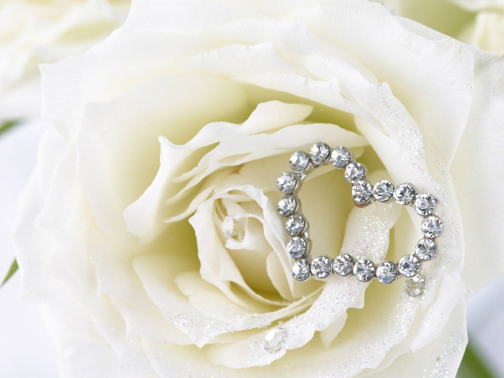 Белые розы и сердце из белых драгоценных камней