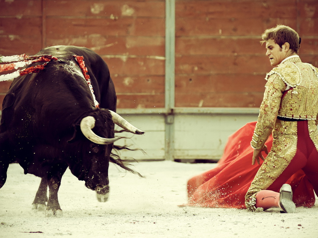 Бык и торреодор