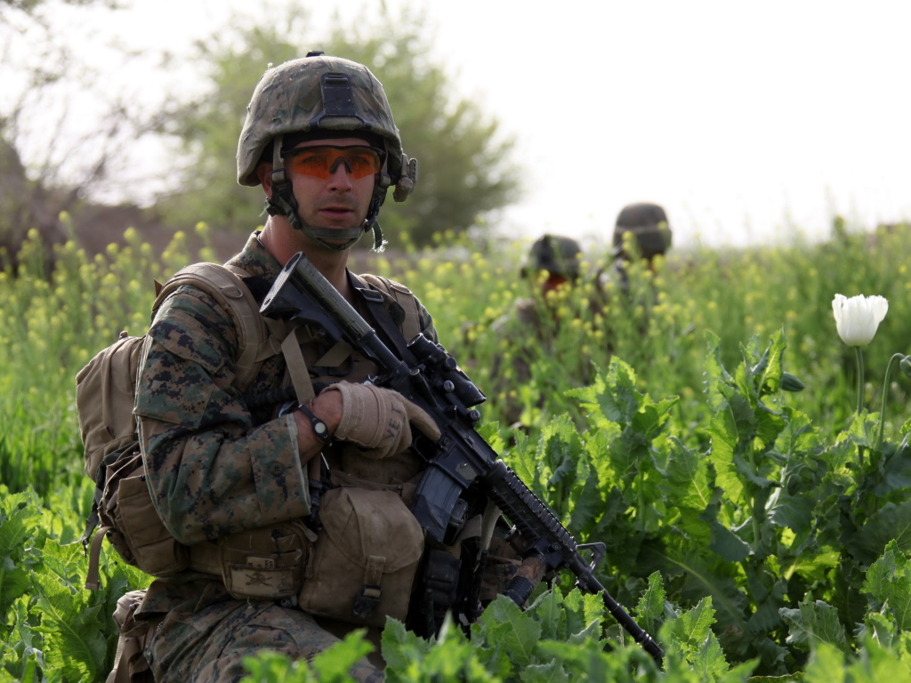 Солдат с винтовкой в траве