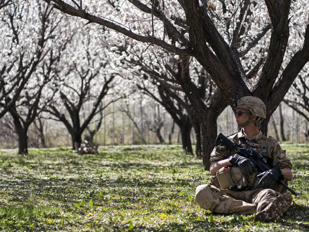 Солдат в цветущем саду
