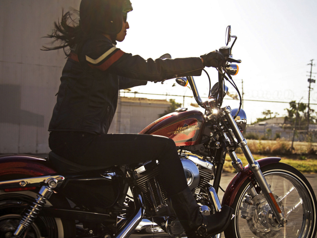 Красивый мотоцикл Harley-Davidson XL 1200V Sportster Seventy-Two