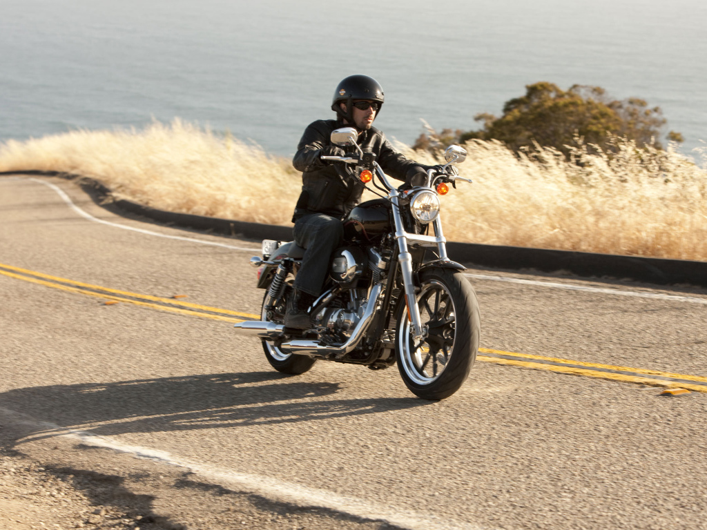 Невероятный мотоцикл Harley-Davidson XL 883L Sportster