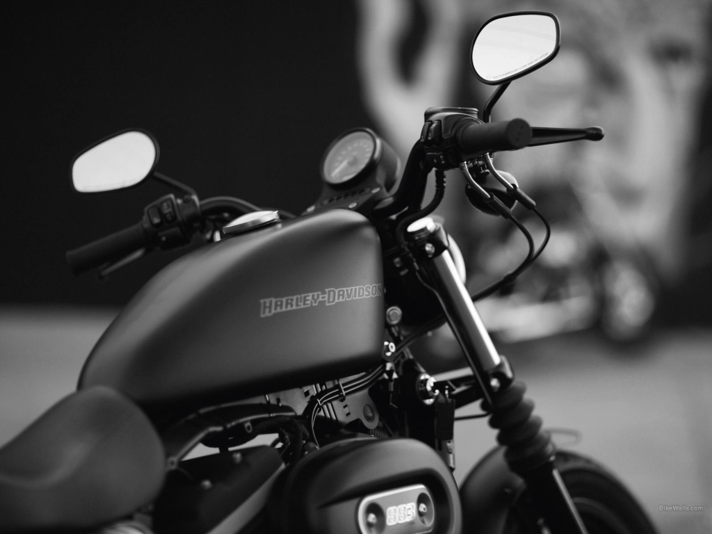 Мотоцикл модели Harley-Davidson XL 883N Sportster Iron