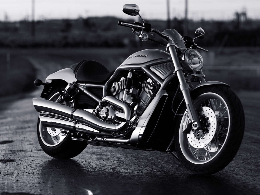 Новый надежный мотоцикл Harley-Davidson V-Rod Muscle