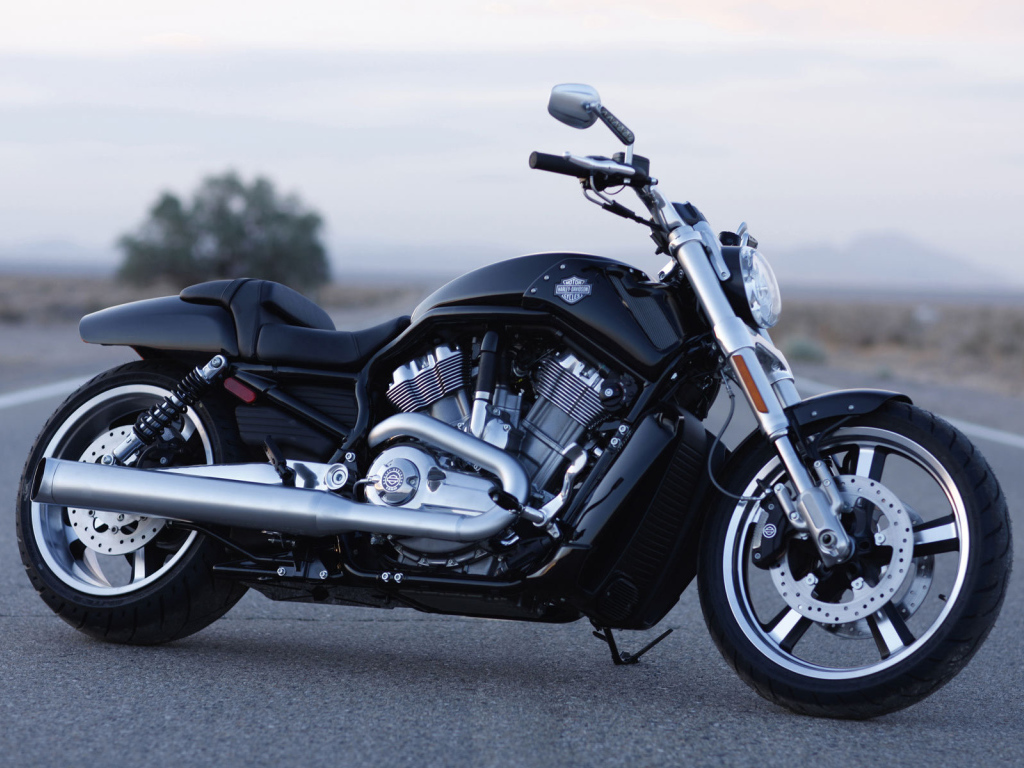 Популярный мотоцикл Harley-Davidson V-Rod Muscle
