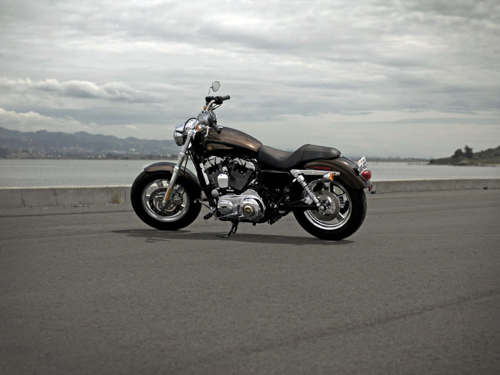 Тест-драйв мотоцикла Harley-Davidson XL 1200C Sportster Custom