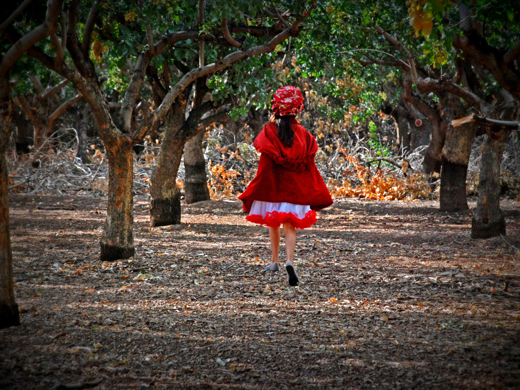 Фильм - В лес