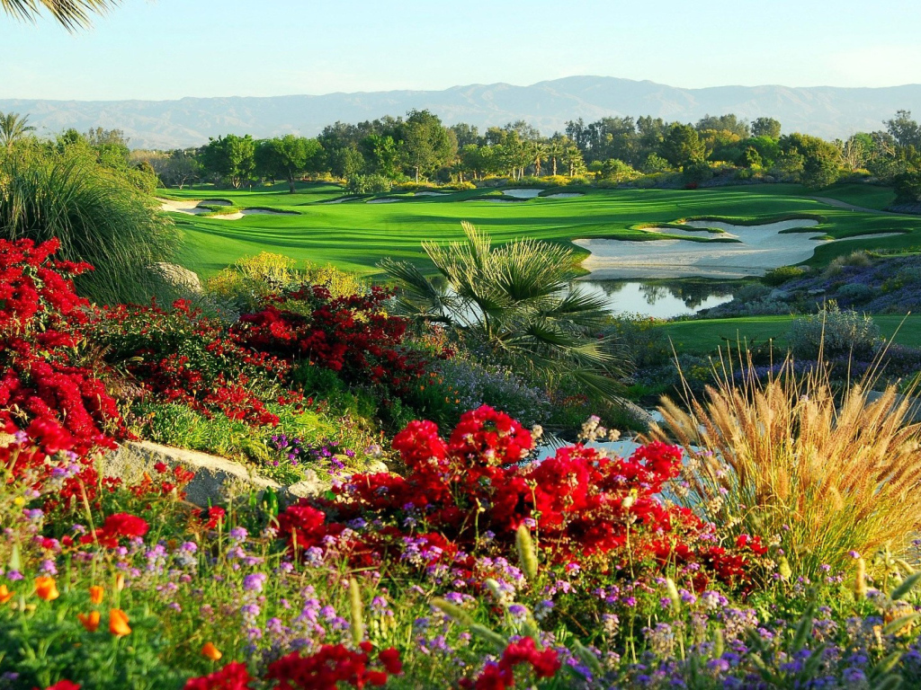 Сказочный сад