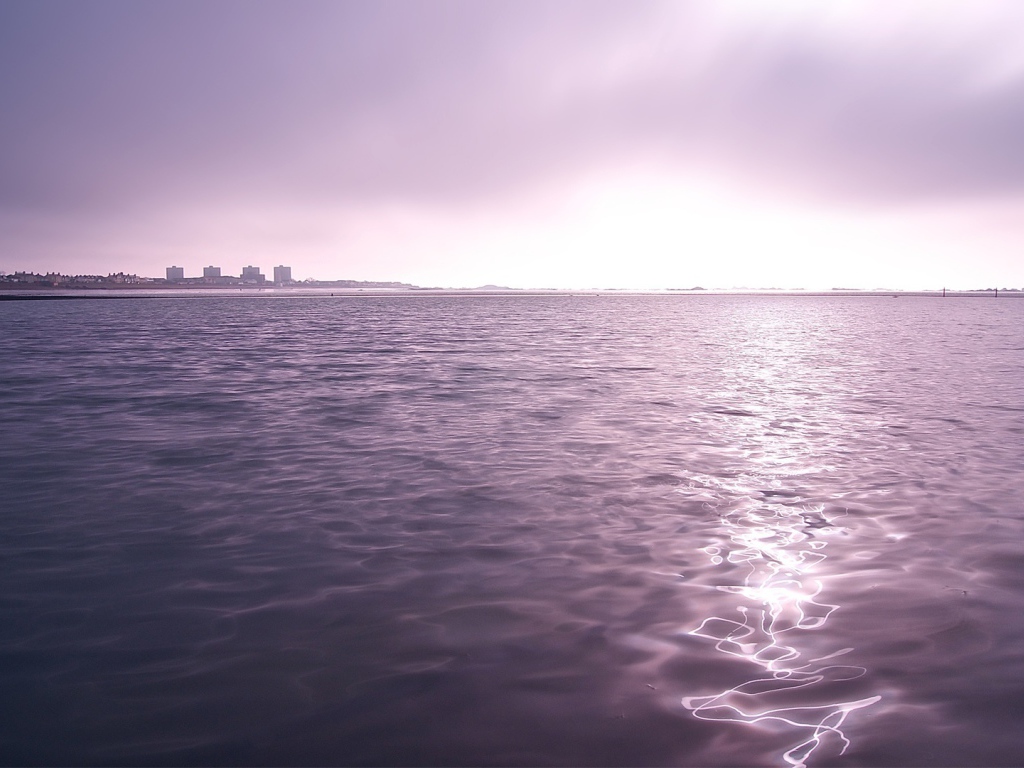 Фиолетовые сумерки