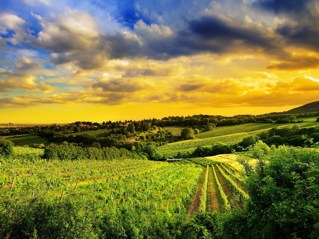 Pазработаная площадь полей